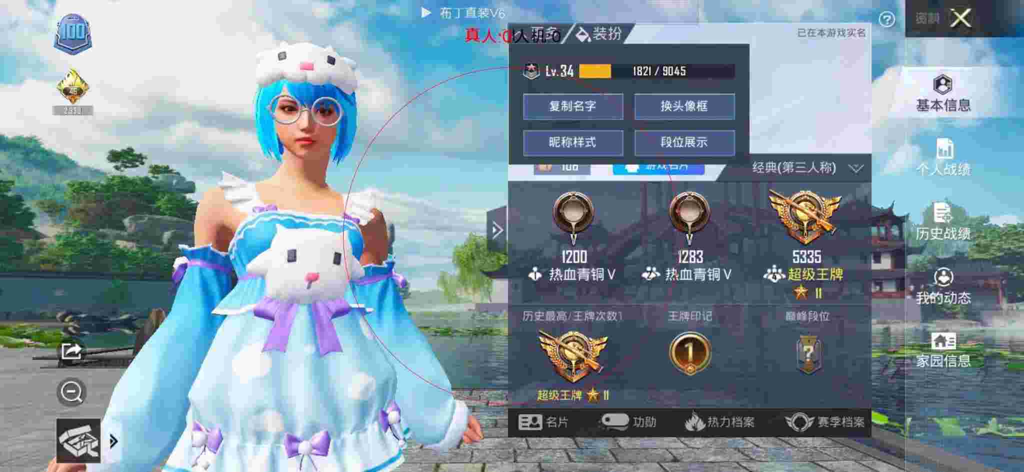 和平精英布丁直装透视 - 和平精英五排辅助阵容辅助预览图
